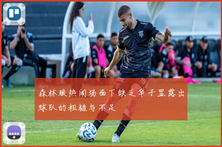 森林狼热闹场面下缺乏华子显露出球队的粗糙与不足